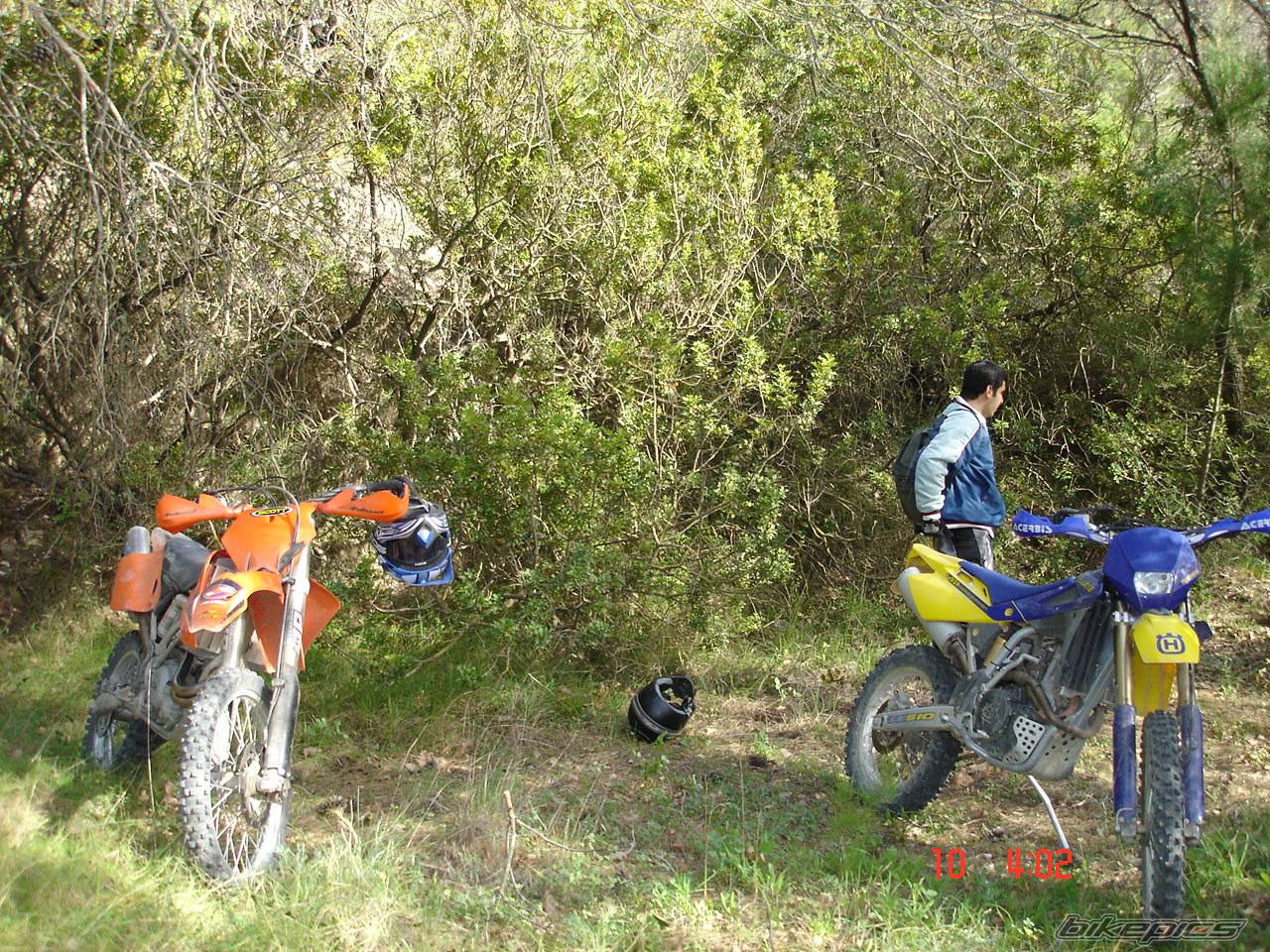 Photo 429849