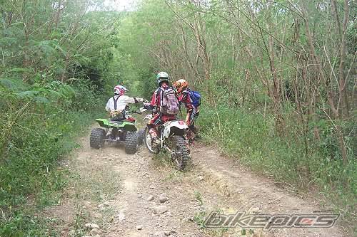 Bike Photo 43018