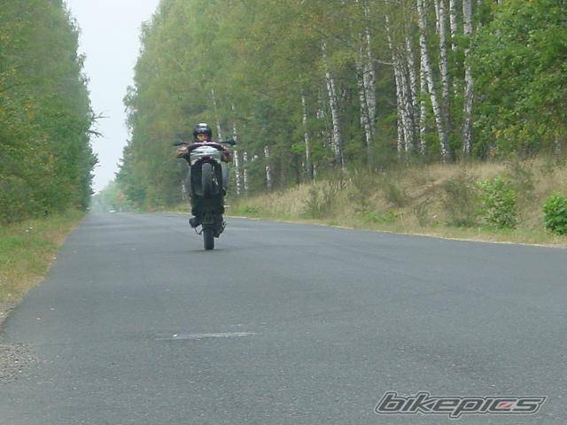 Photo 430265