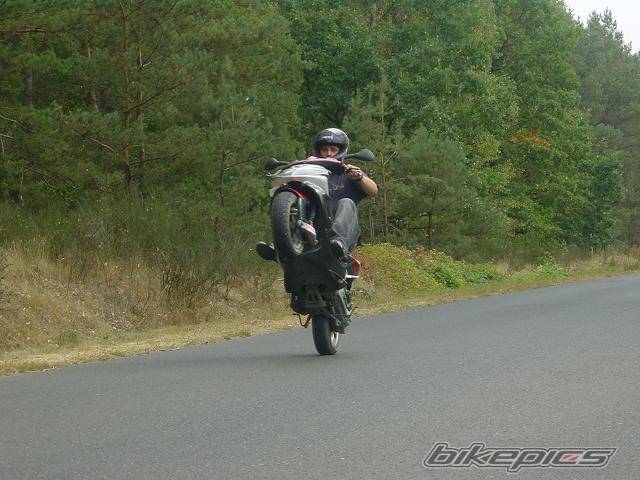 Photo 430267