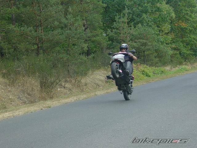 Photo 430276
