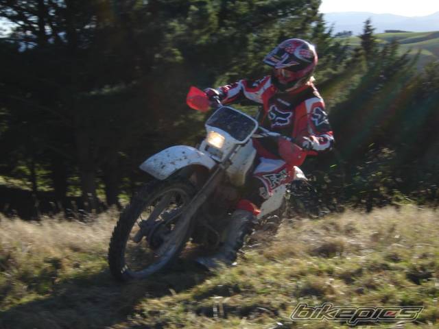 Photo 430317