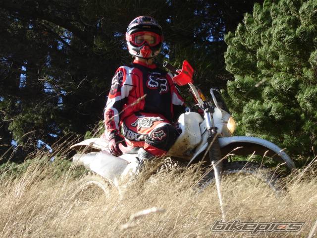 Photo 430319