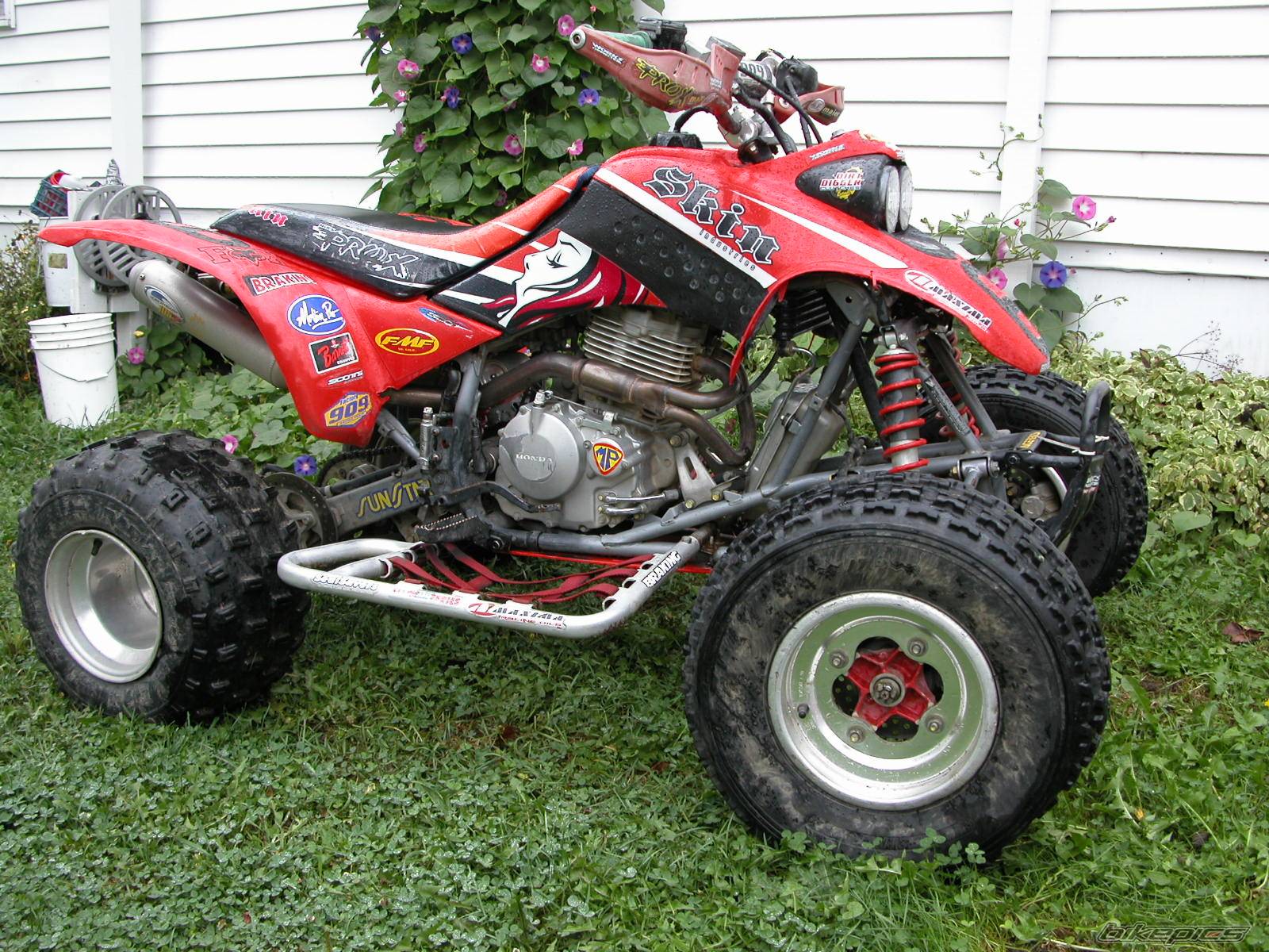 Photo 430803