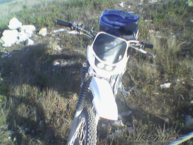 Photo 431395