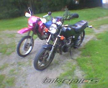 Photo 431404