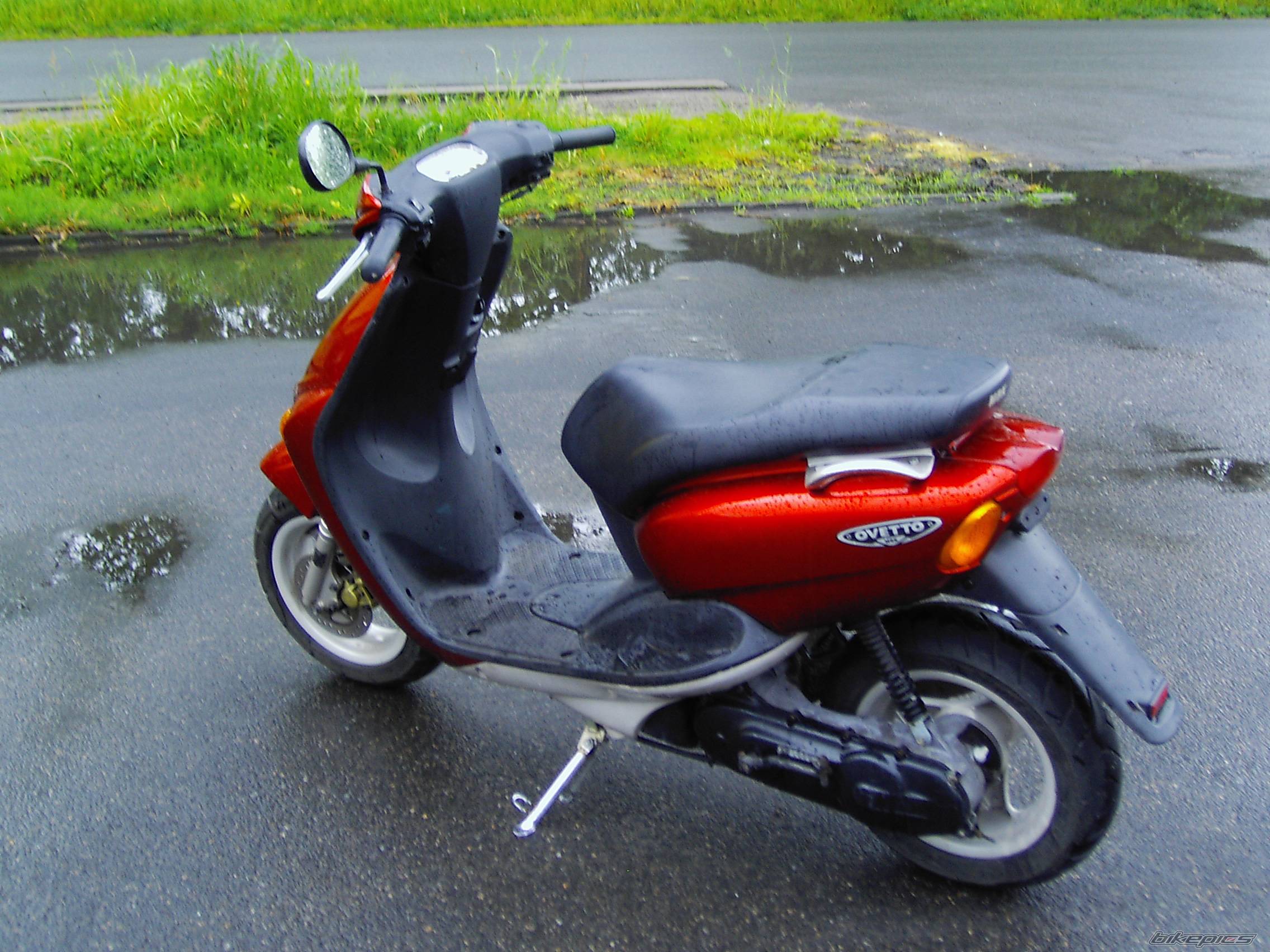 Photo 431454