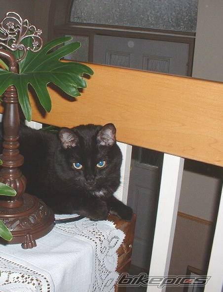 Photo 43147