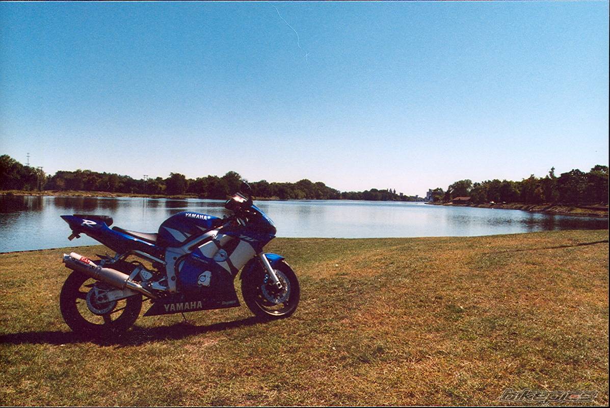 Photo 431530