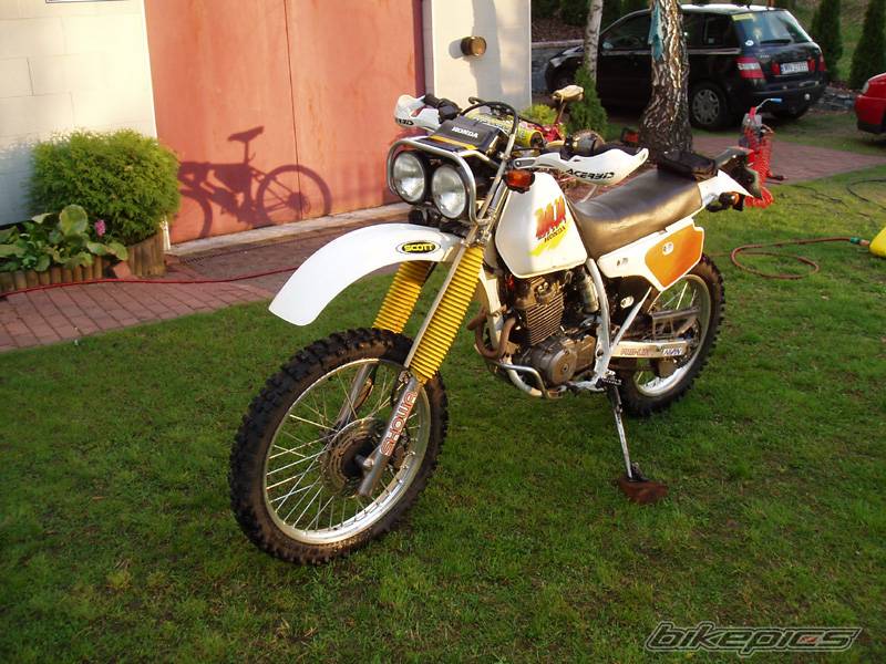 Photo 431542
