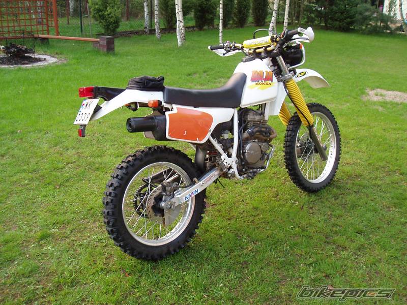 Bike Photo 431543