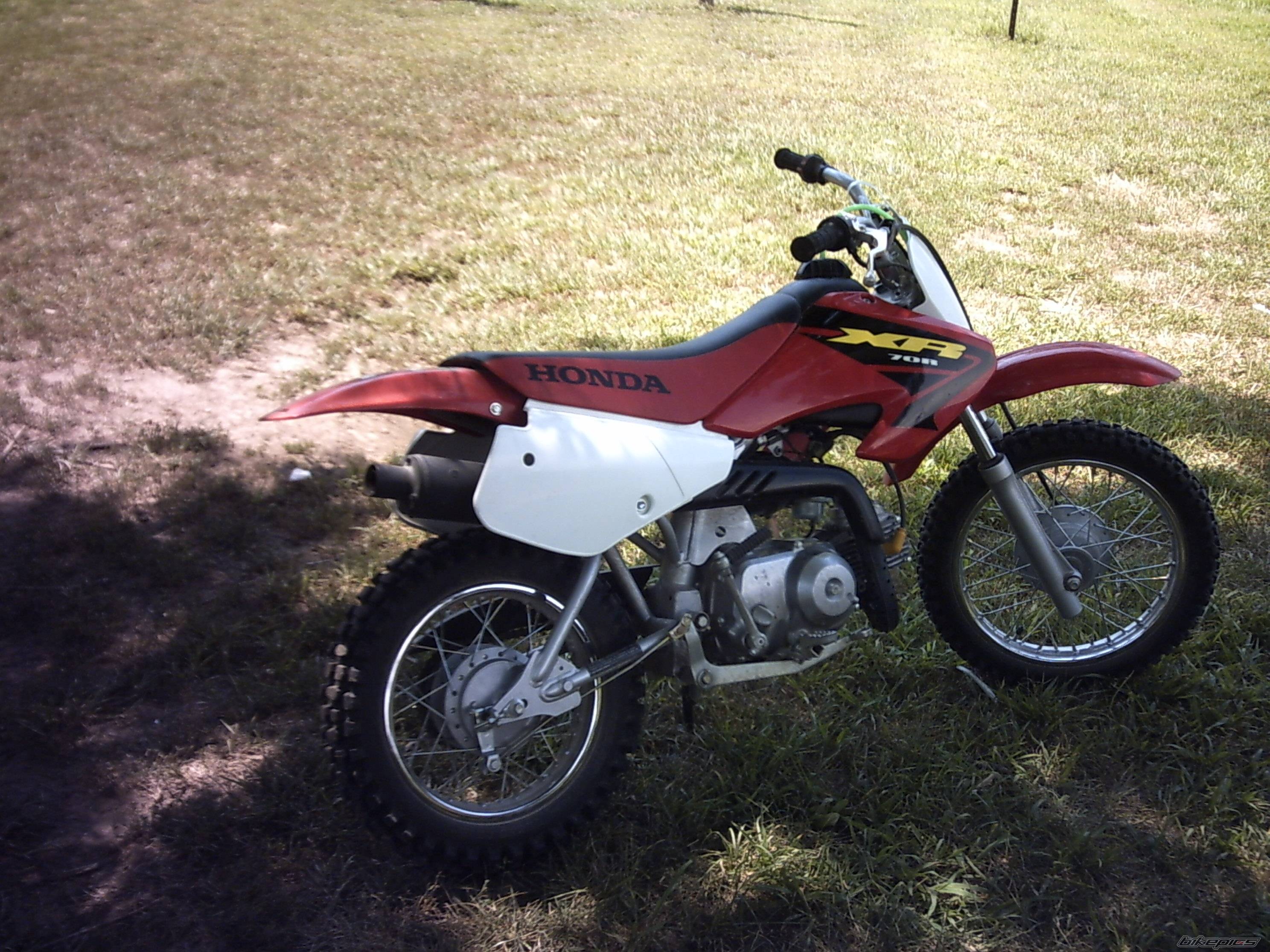 Photo 431561