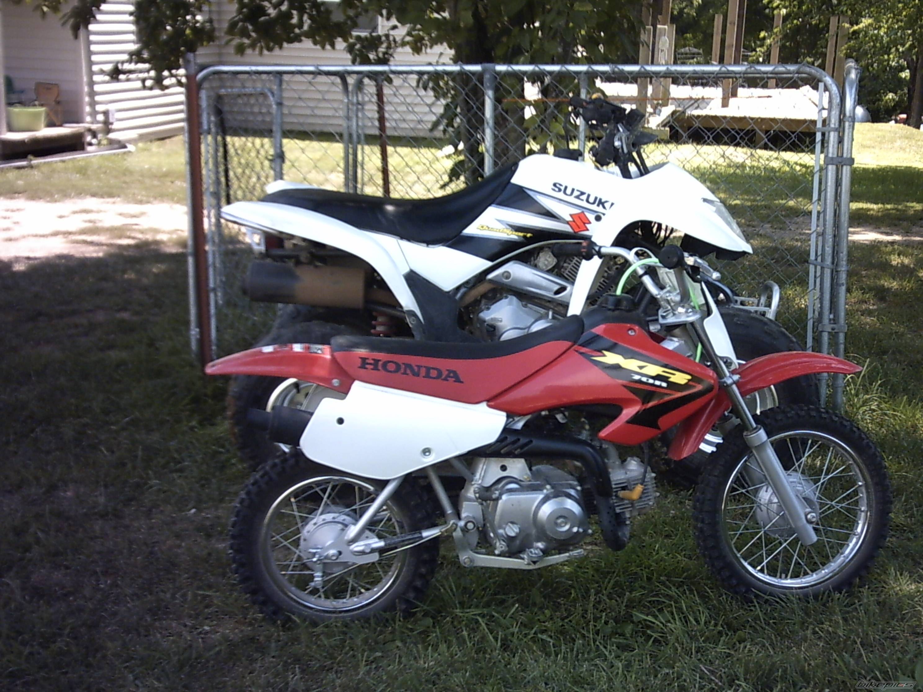 Photo 431562