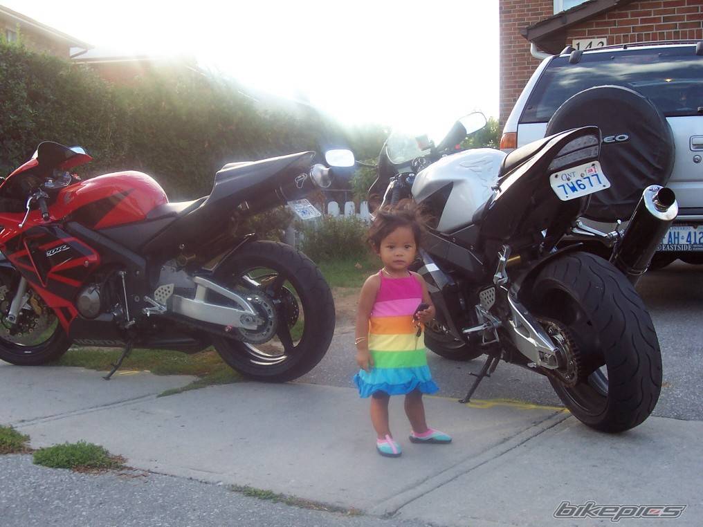 Photo 431589