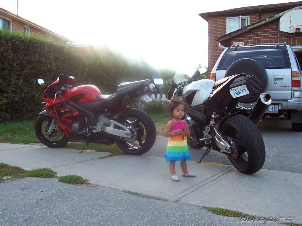 Photo 431592