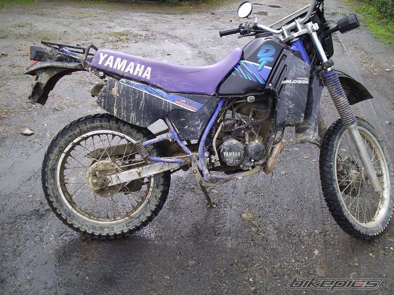 Bike Photo 431919
