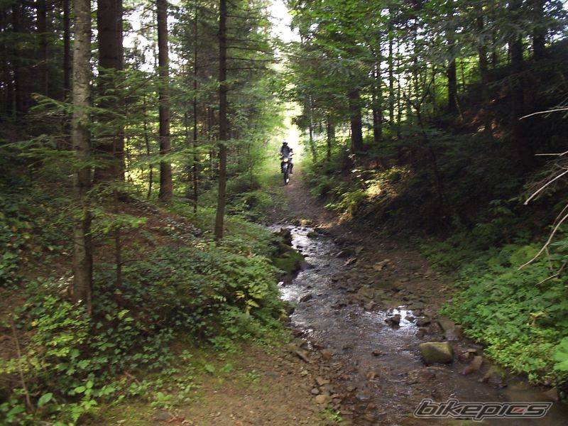 Photo 431932
