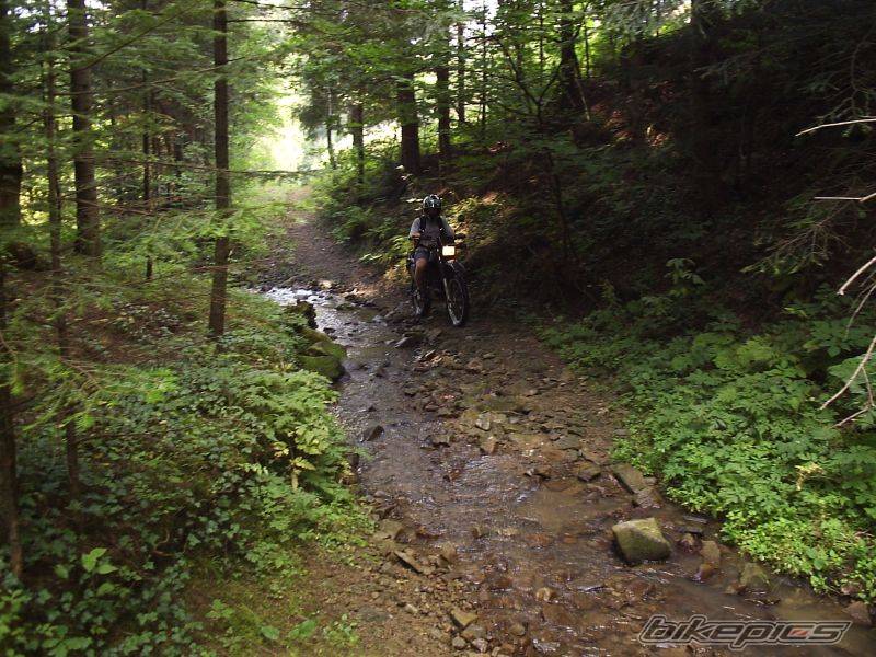 Photo 431933