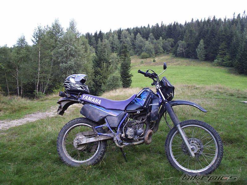 Bike Photo 431941