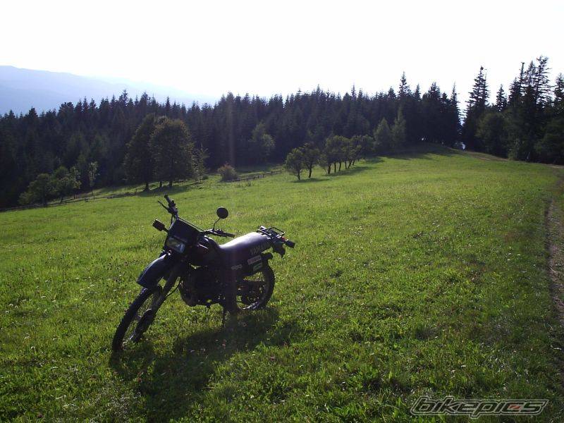Bike Photo 431948