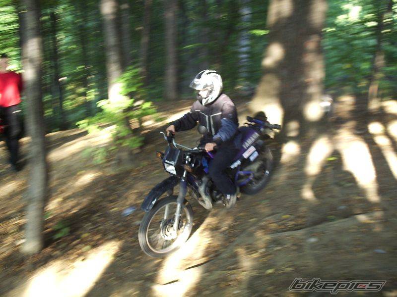 Photo 431952