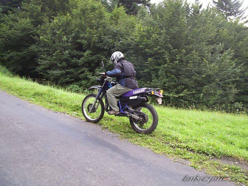 Photo 431962