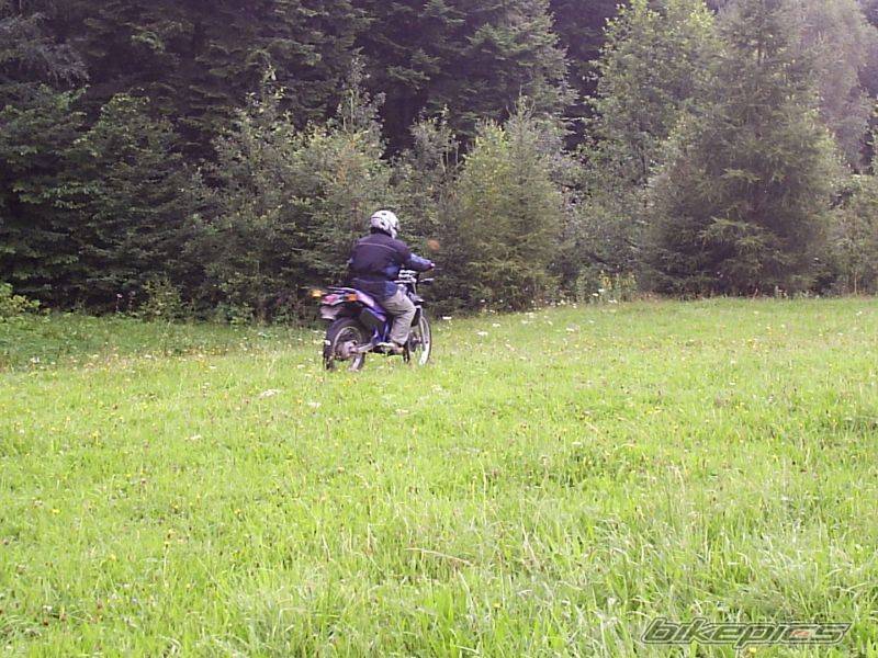 Photo 431963