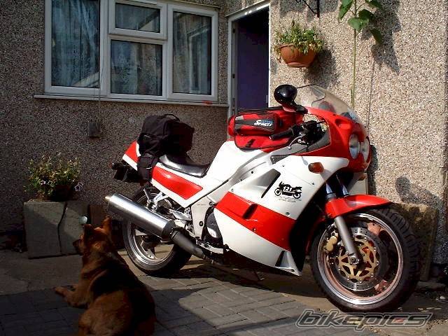 Photo 43203