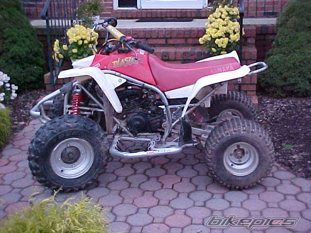 Photo 43223