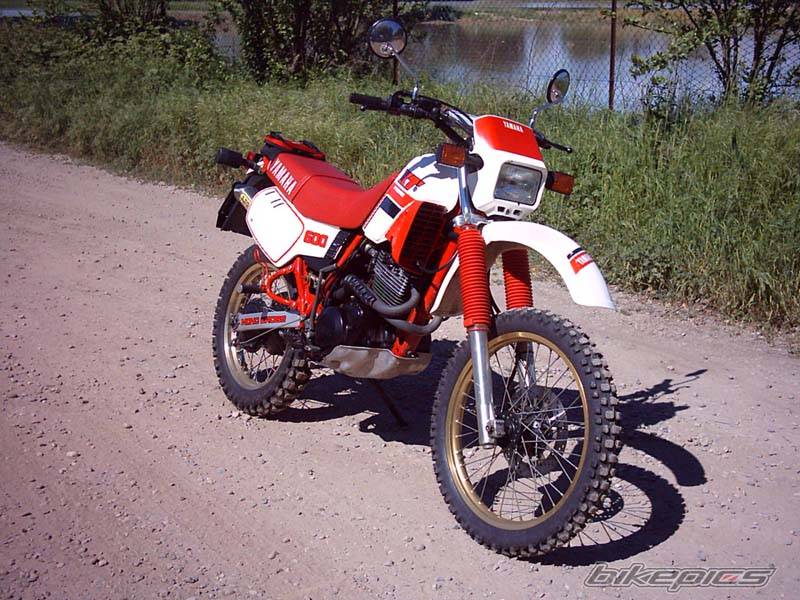 Bike Photo 432290