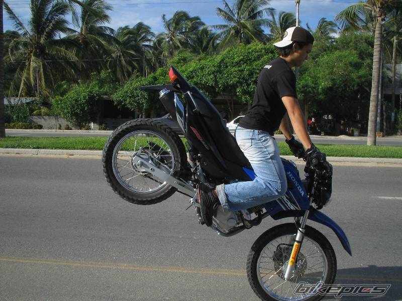 Bike Photo 432474