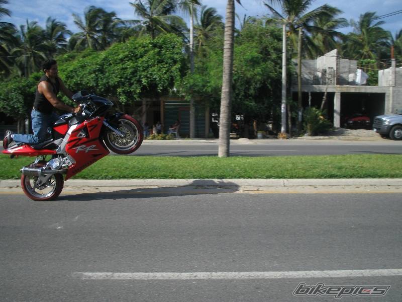 Bike Photo 432479