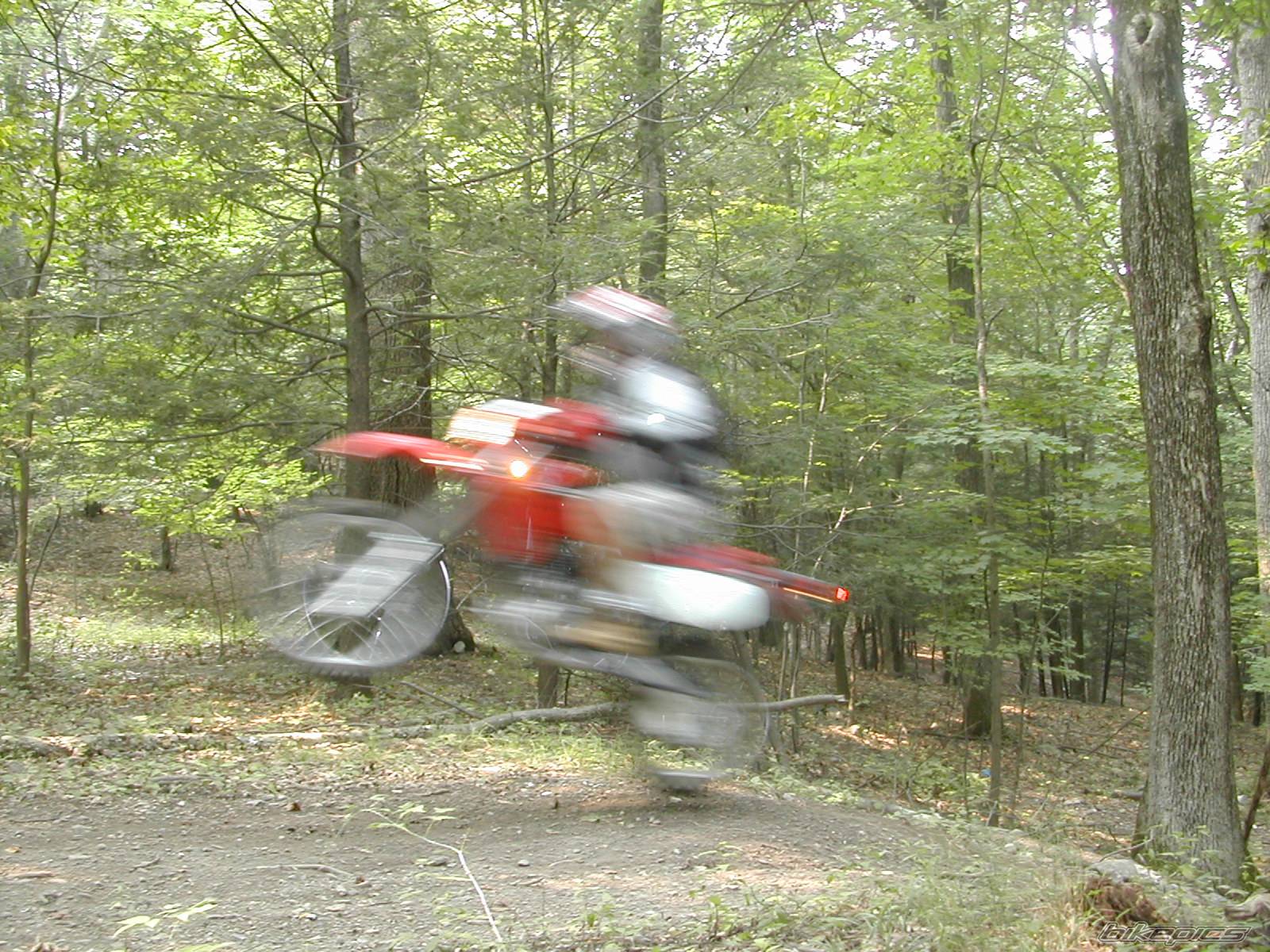 Photo 432485