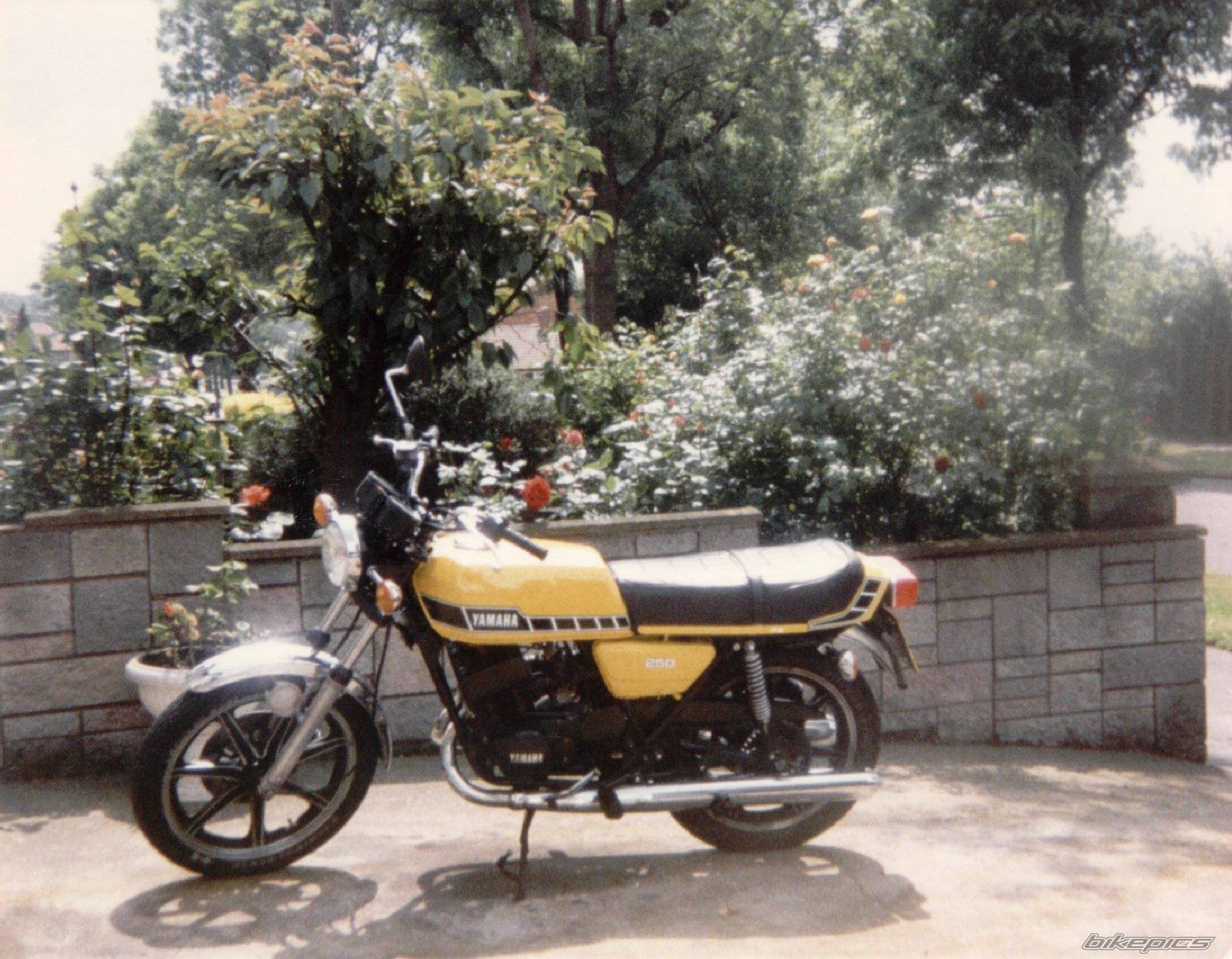 Photo 432631