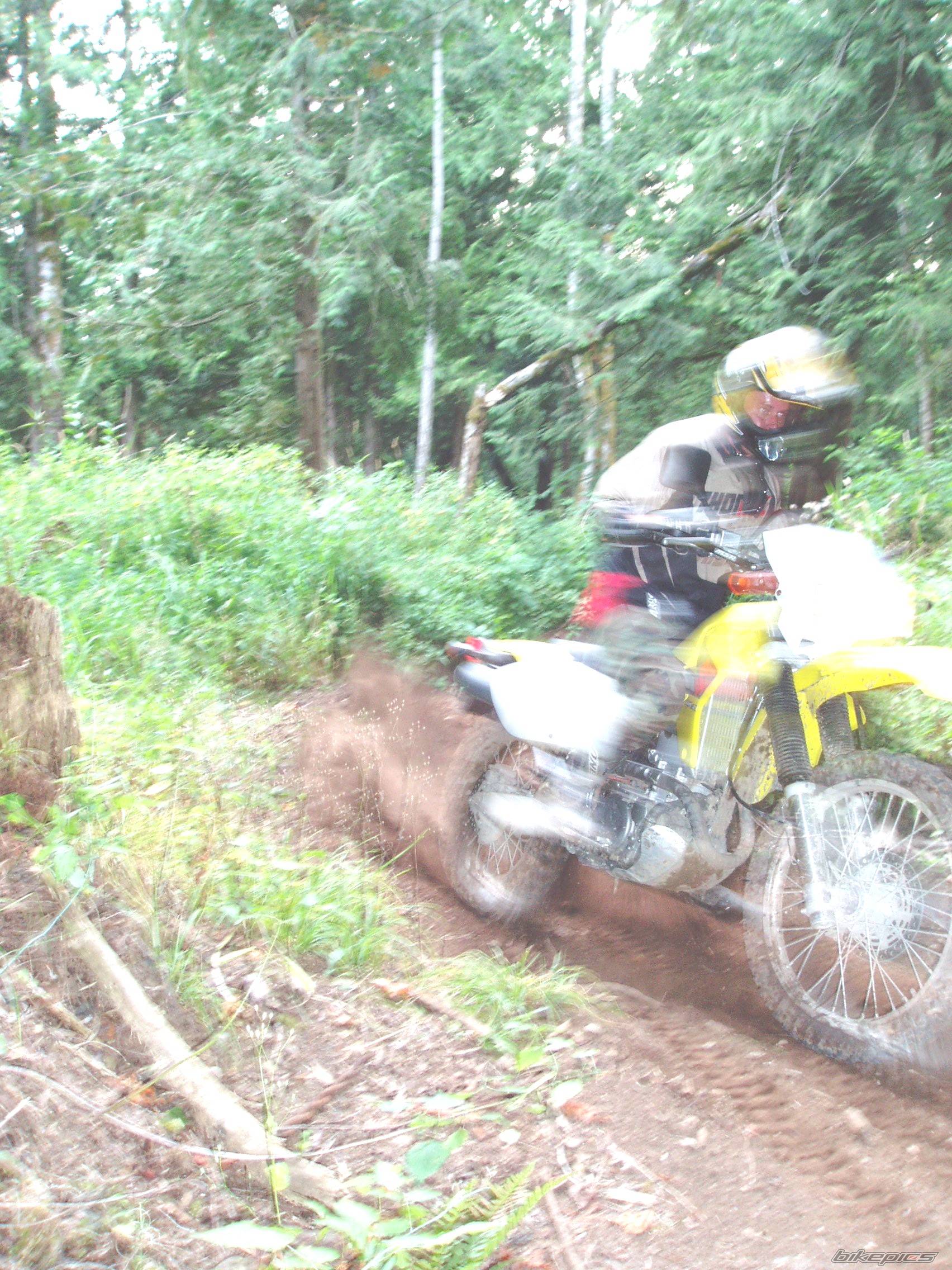 Photo 432639