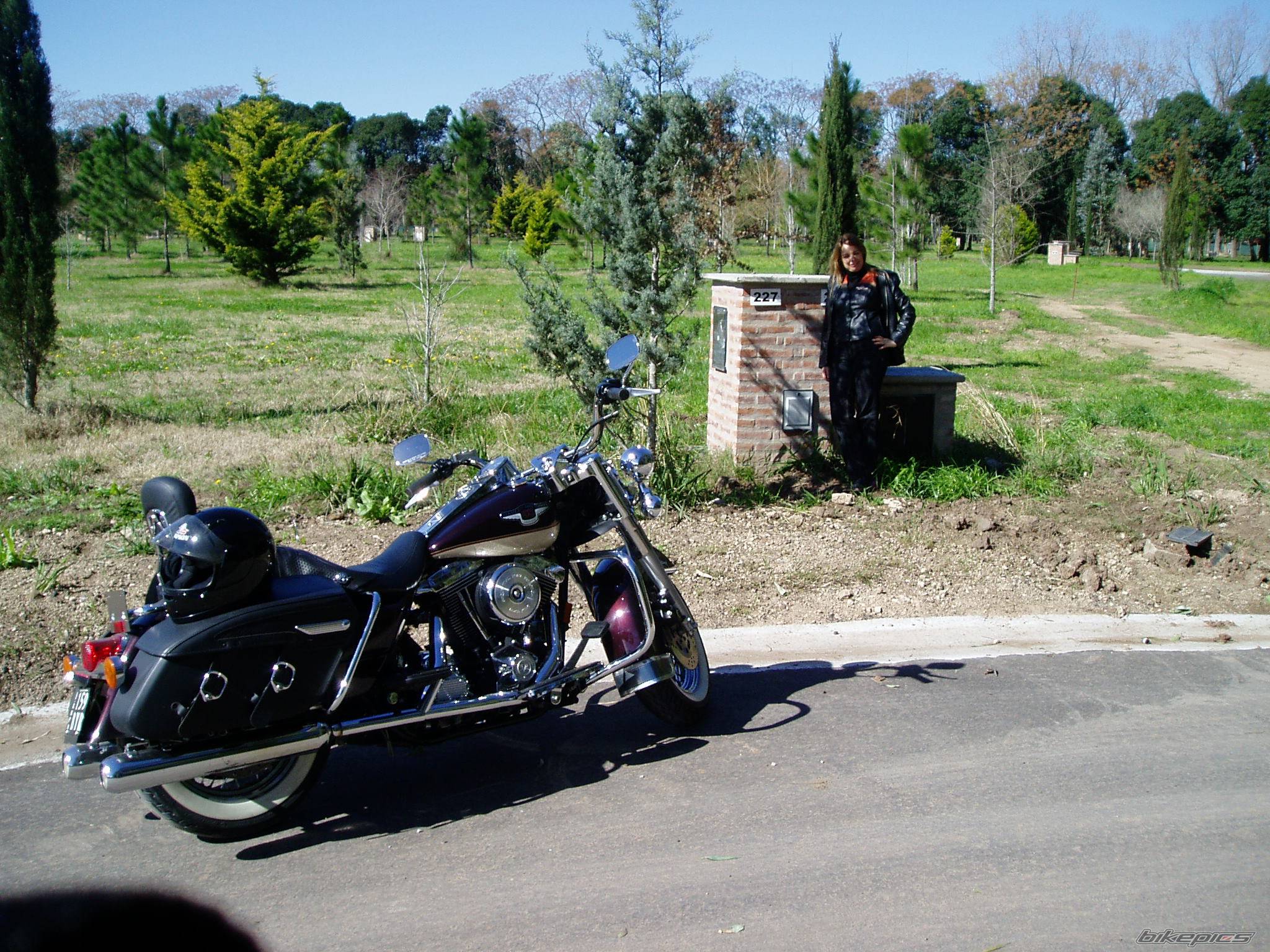 Photo 432650