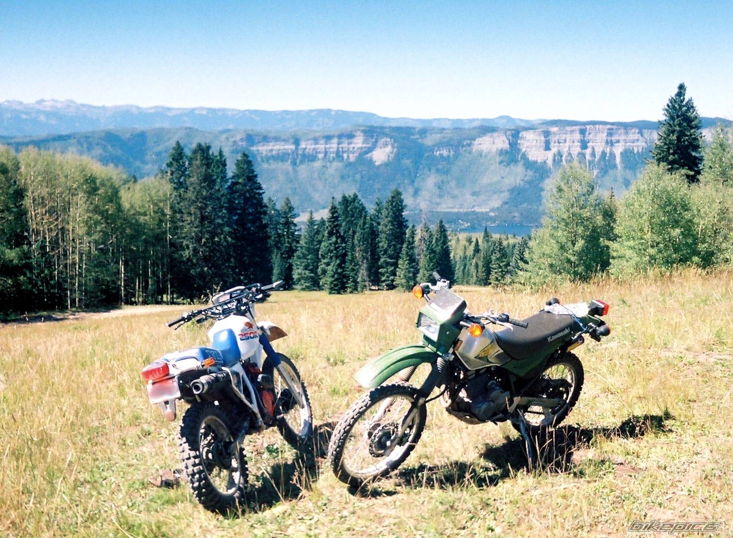 Bike Photo 433122