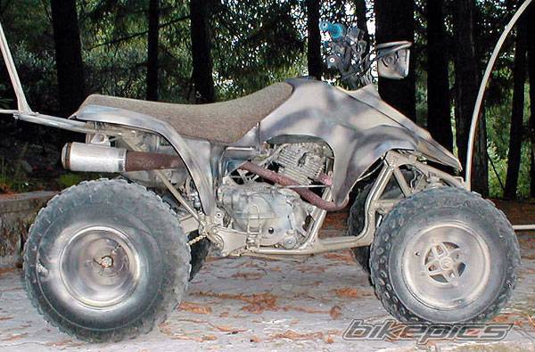 Photo 433271
