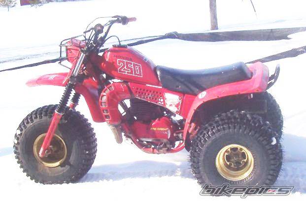 Photo 433327