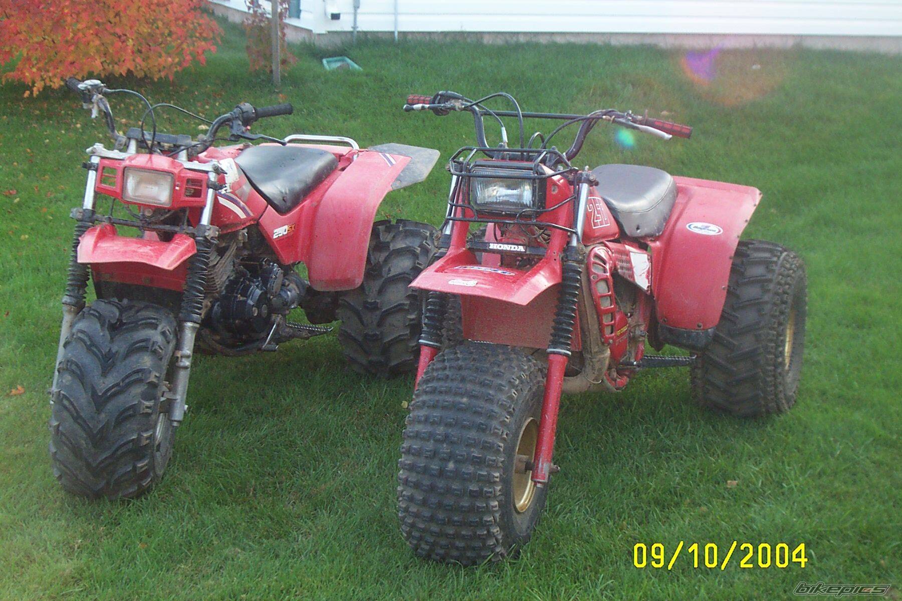 Photo 433328