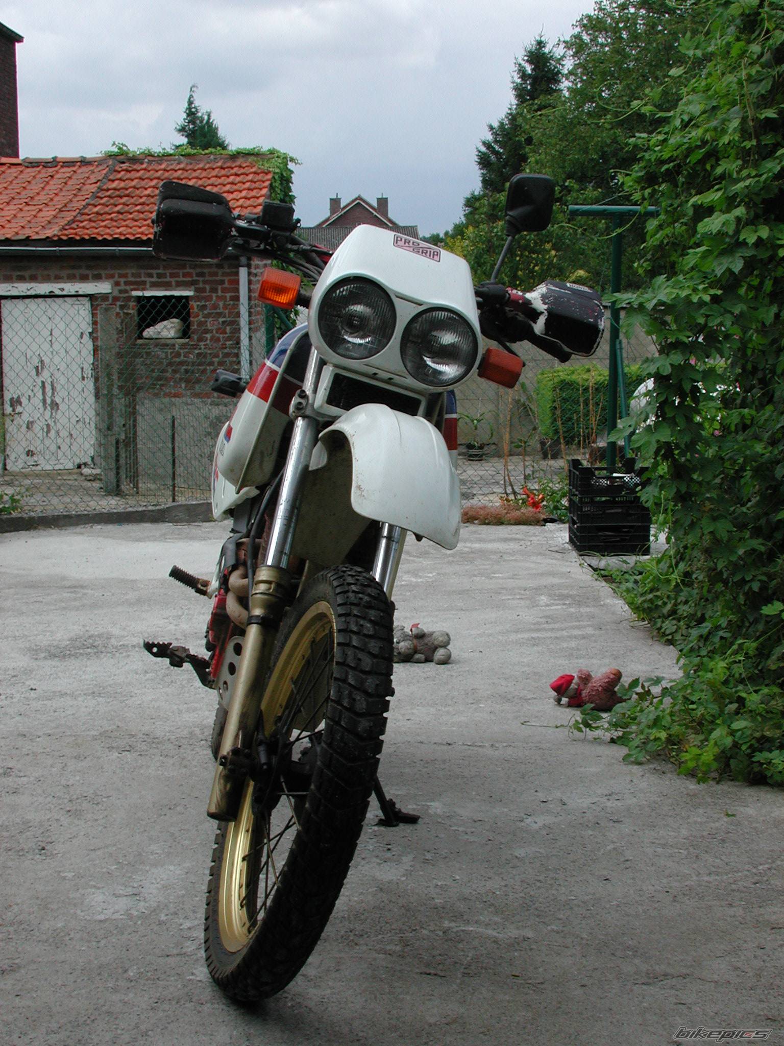 Photo 43339