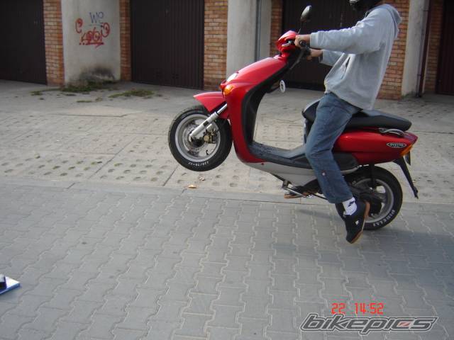 Photo 433407