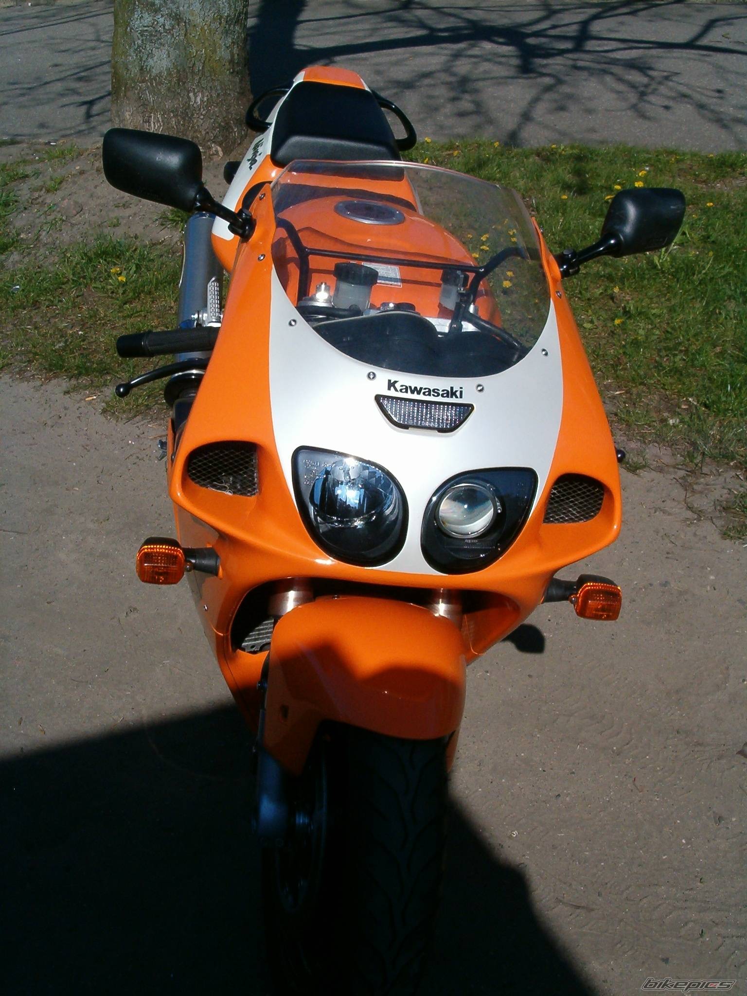 Photo 433418