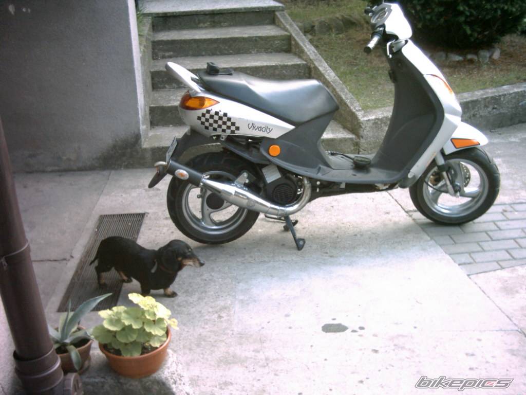 Photo 433441