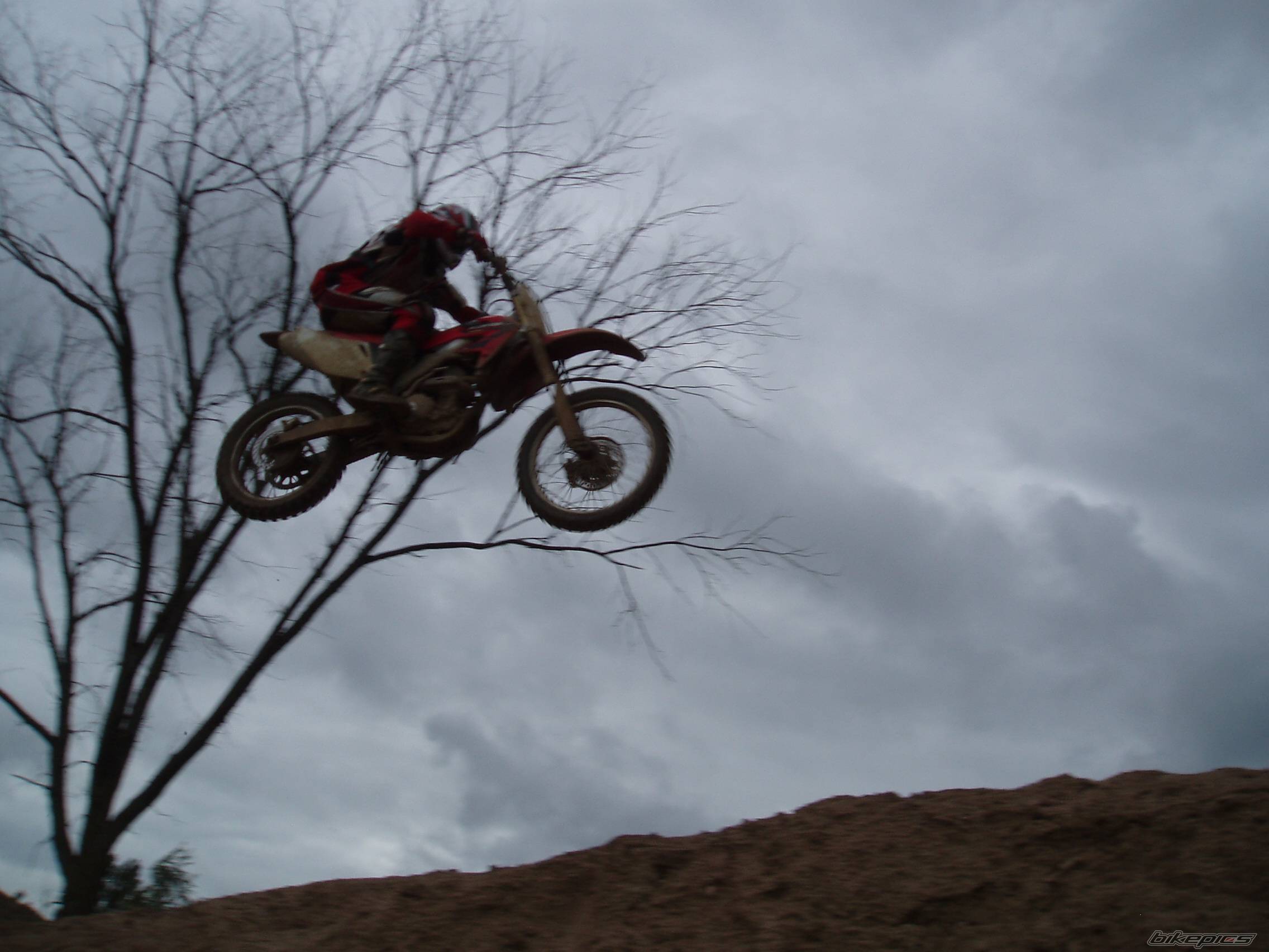 Photo 433451