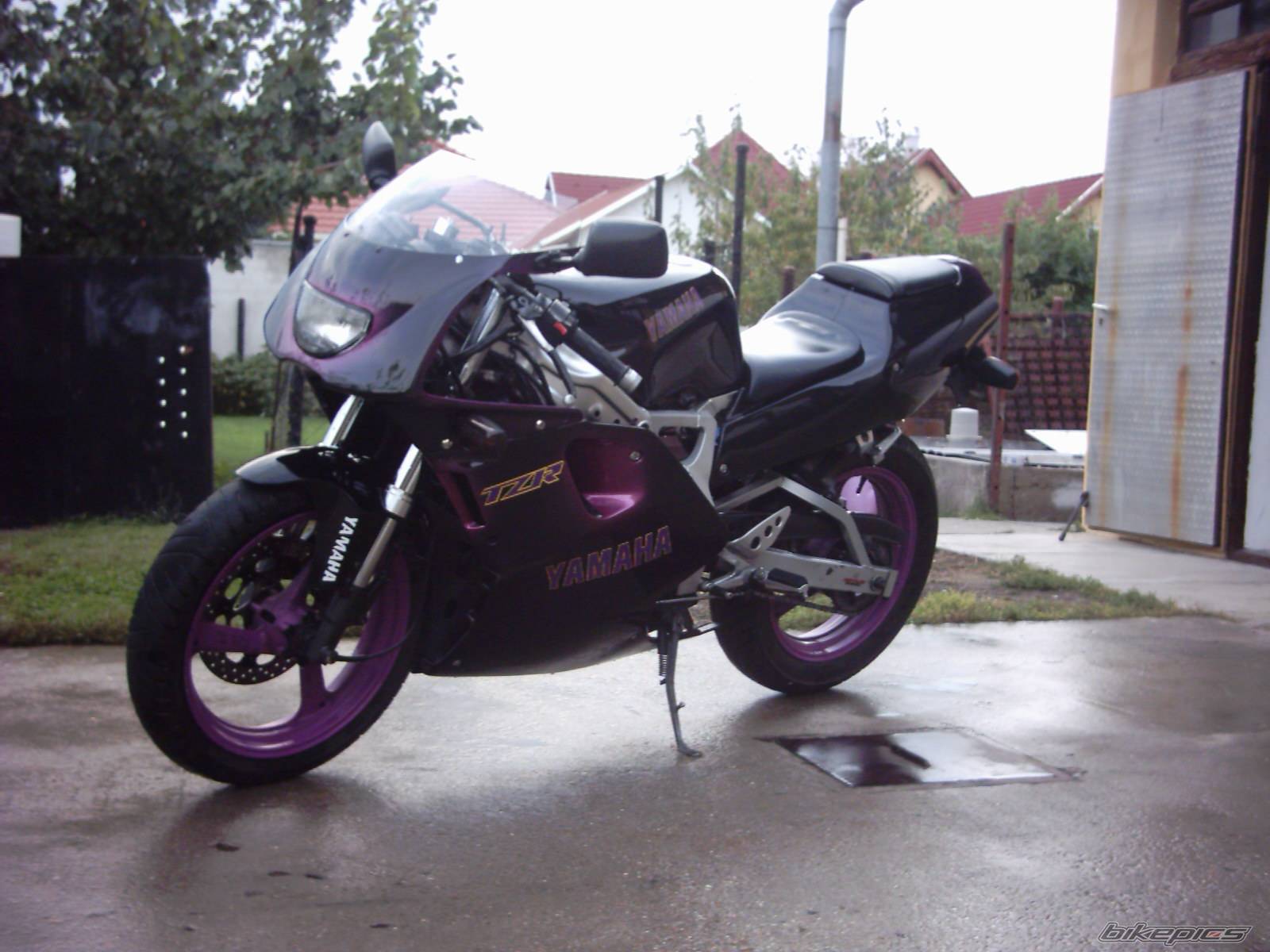 Photo 433555