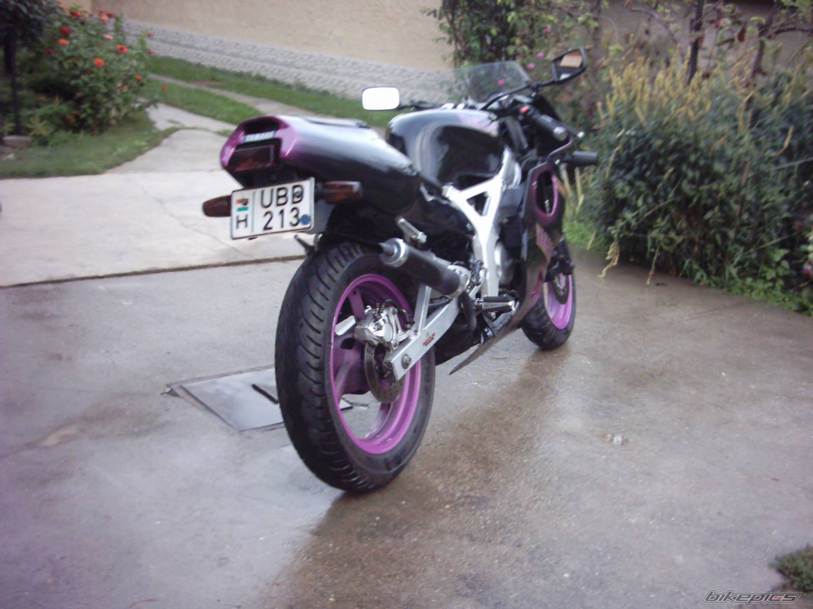 Photo 433562
