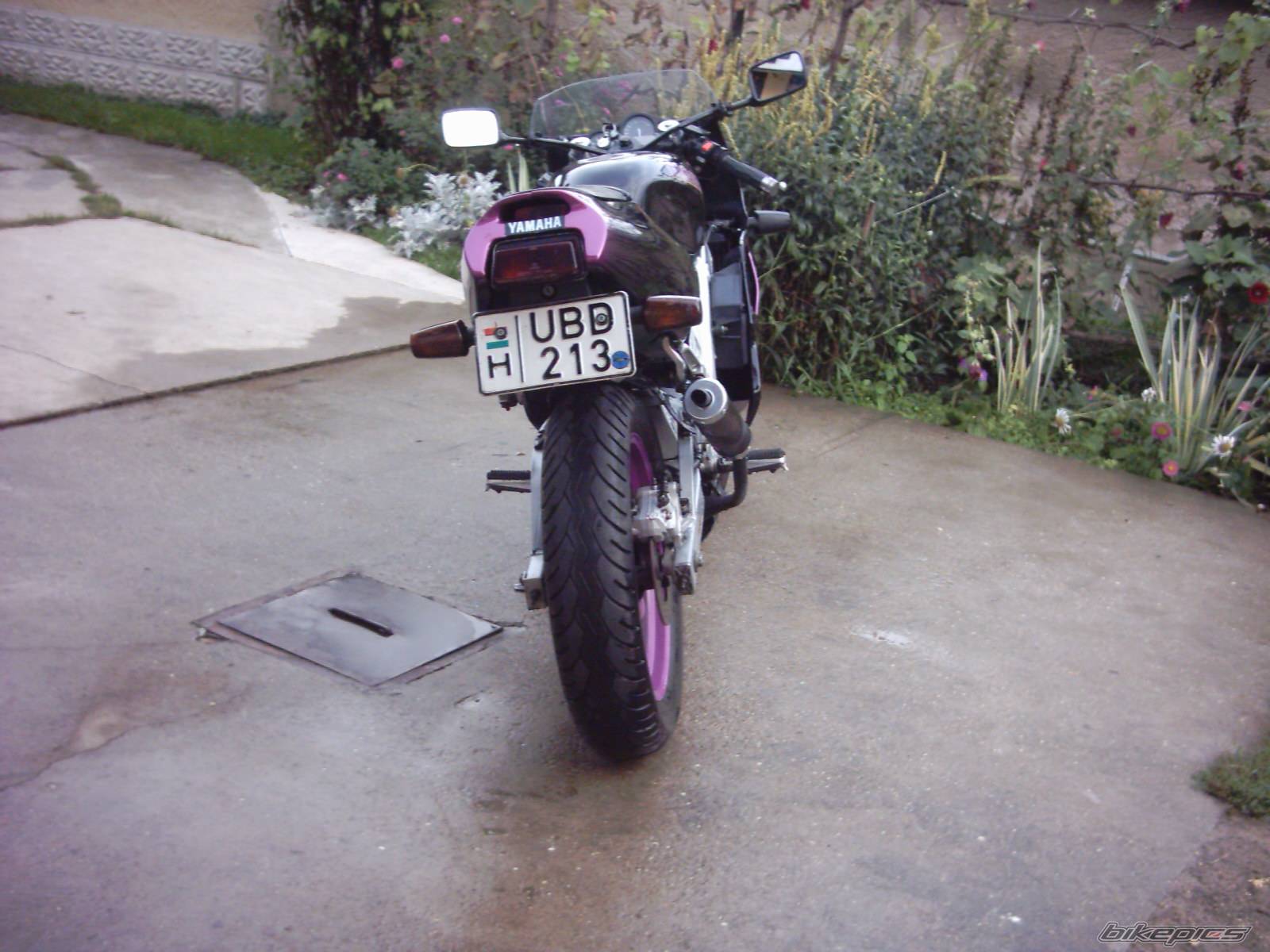 Photo 433564