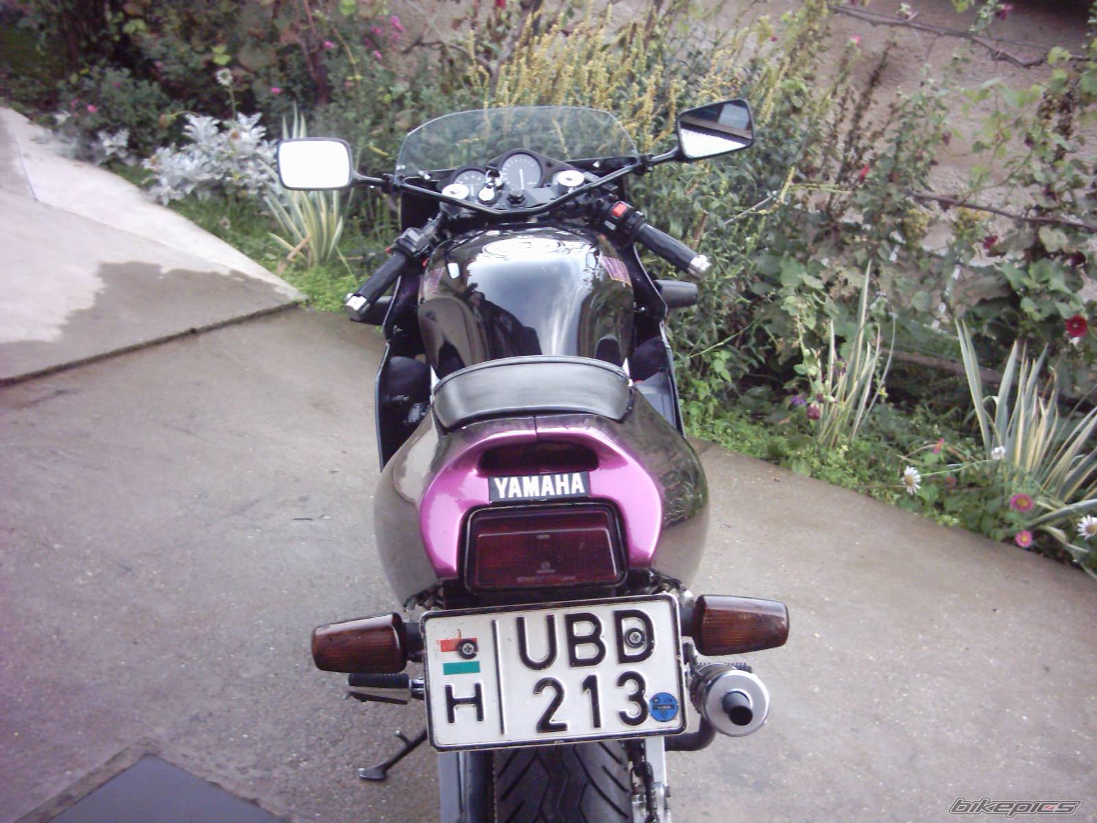 Photo 433566