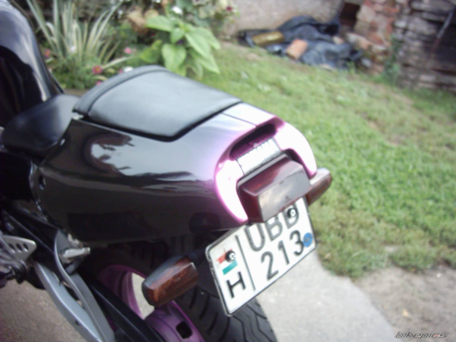 Photo 433568